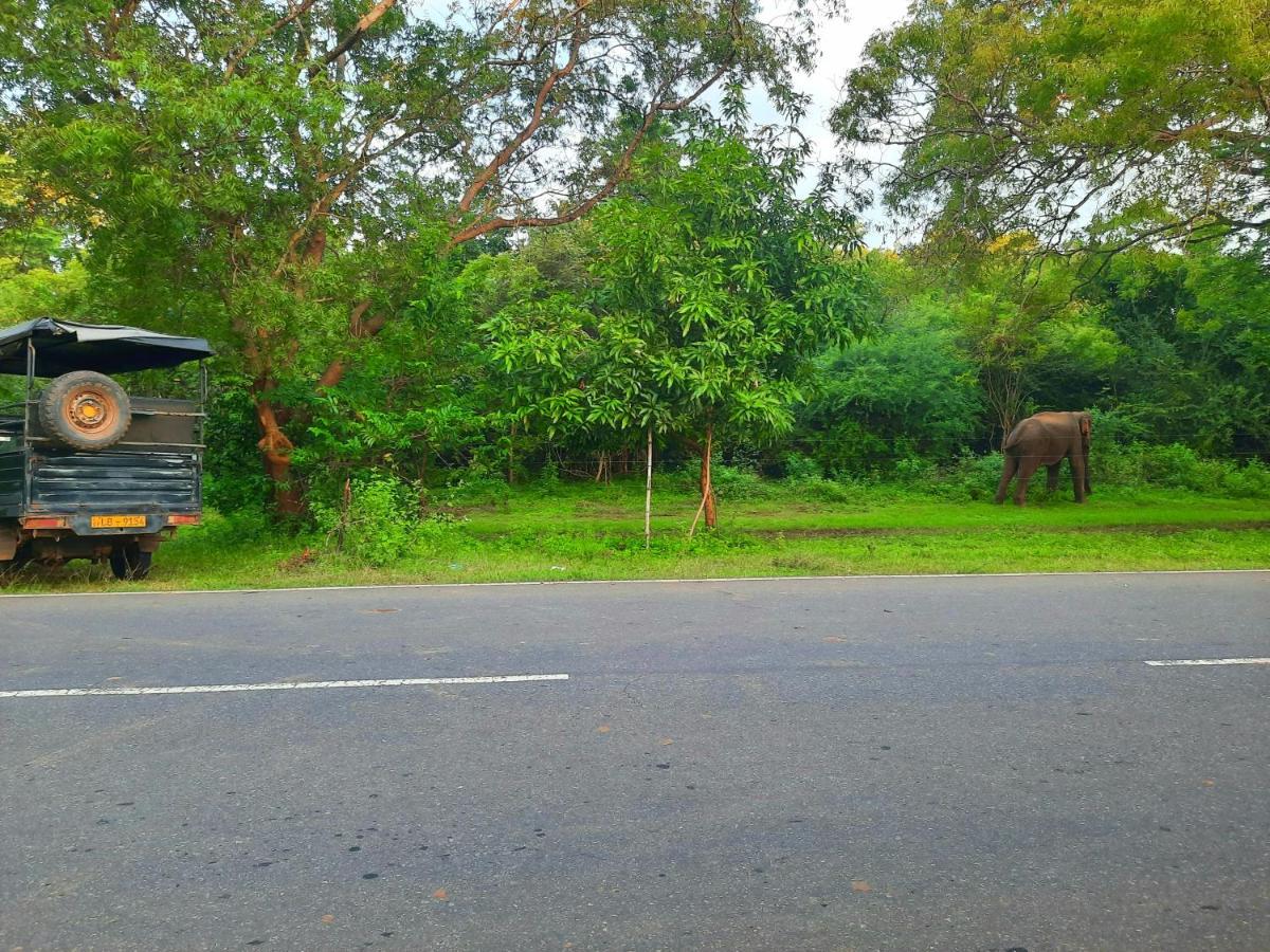 Hostel -In Frant Of The National Park- Udawalawe Ngoại thất bức ảnh